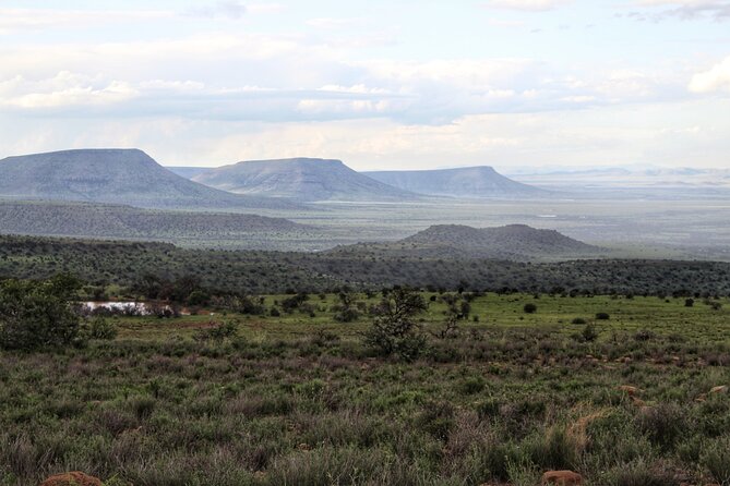 4 Day Addo to Karoo Safari - Diverse Wildlife Encounters
