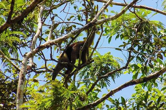 4-Day Adventure in Tortuguero National Park - Pricing and Booking Details