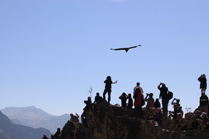 4 Day Arequipa and Colca Canyon Tour - Tour Capacity and Accessibility