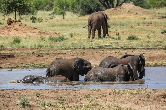 4-Day Discover Victoria Falls, Chobe and Hwange Park - Pickup Information