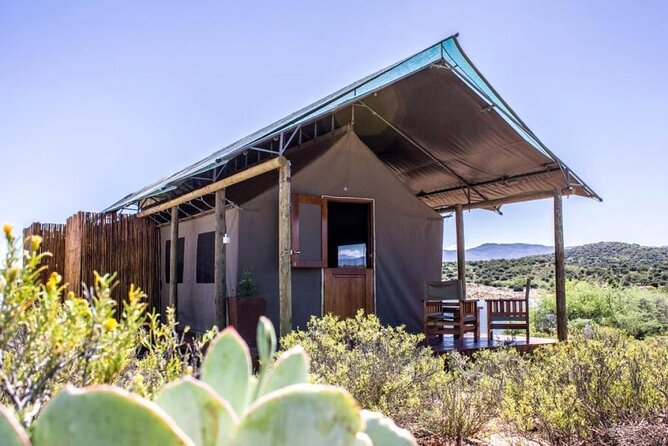 4 Day Garden Route Luxe Selection Micro Group Tour From Cape Town - Pickup and Drop-off