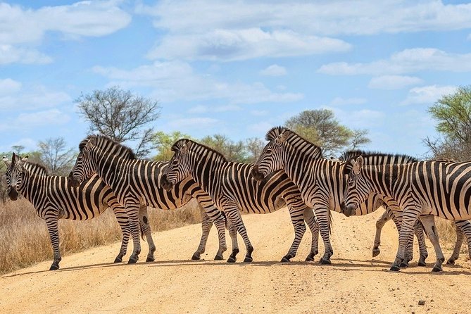 4-Day Kruger National Park & Panorama Route Tented Safari - Pricing and Confirmation
