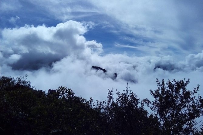 4-Day Manu Jungle Trip From Cusco - Participant Requirements