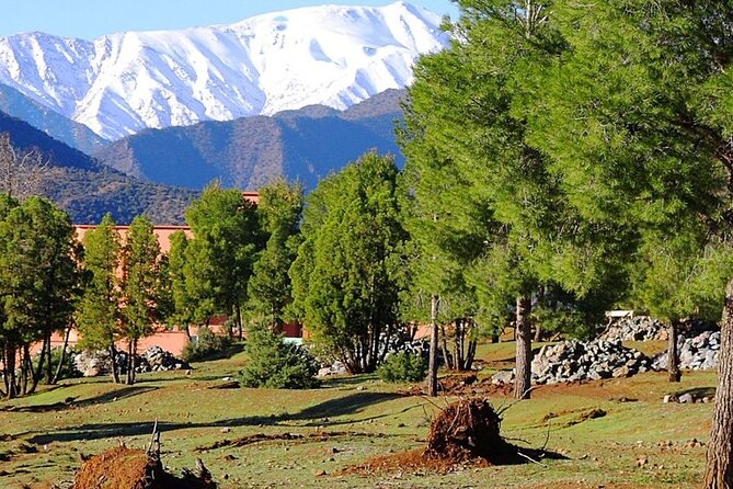 4 Day Private Tour From Fes to Merzouga Desert and Marrakech - Pickup Details