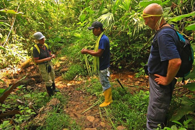 4 Day Private Tour From Volcanoes Route to the Amazon Rainforest - Wildlife Spotting Opportunities