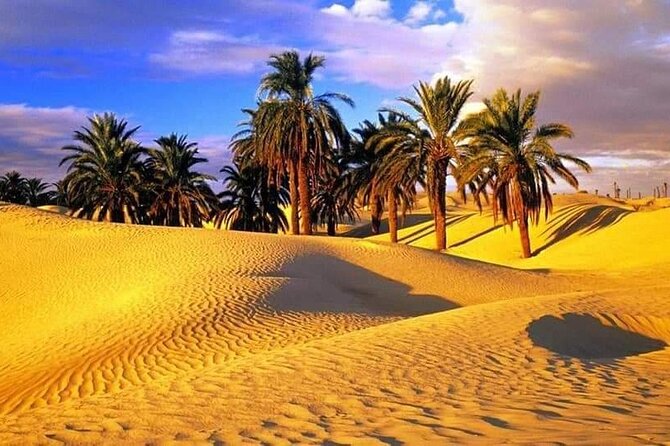 4-Day Private Tour: Sahara and Djerba Island From Tunis and Hammamet - Accessibility and Participation