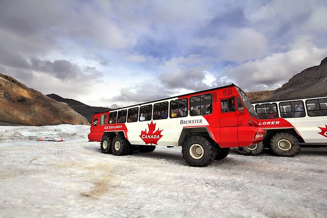 4-Day Rockies Discovery Tour Package, Banff, Jasper, and Yoho - Guest Experiences and Feedback