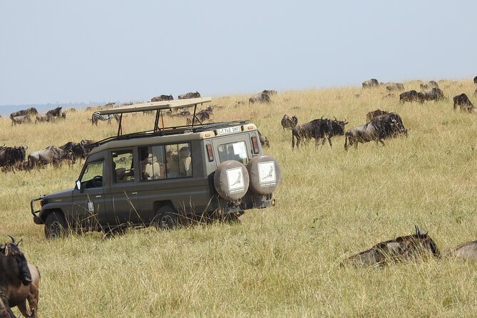 4-Day Tarangire, Serengeti, Ngorongoro Crater - Meeting and Pickup