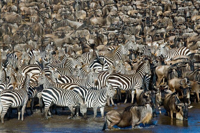 4-Day Tour to Tarangire, Serengeti and Ngorongoro - Tour Details