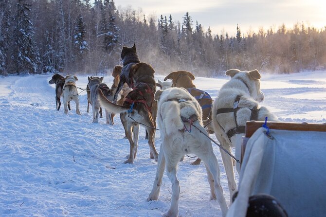 4-Day Yellowknife Aurora Tour - Cancellation and Refund Policy