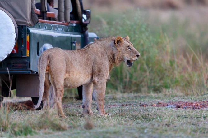 4 Days 3 Nights Tarangire Serengeti & Ngorongoro Lodge Safari - Ancient Human Fossils Exploration