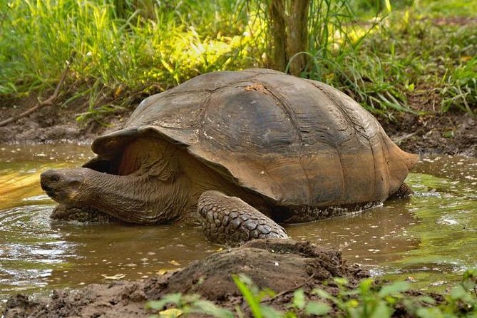 4 Days Galápagos - Total Experience Tour - Included Amenities and Services