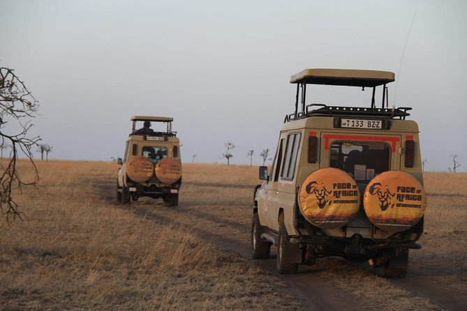 4 Days Game Drives Safari Tarangire, Serengeti and Ngorongoro Crater - Pickup and Meeting Details
