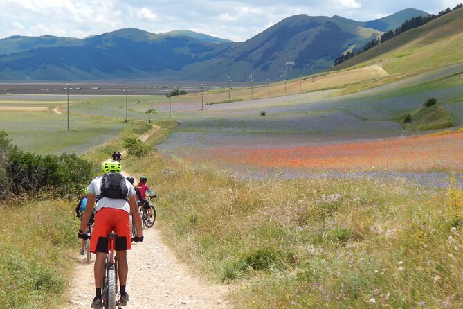 4 Days Guided E-Bike Tour in Ascoli Piceno - Accommodation Details