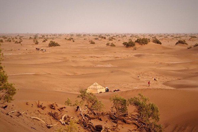 4 Days Hiking To Desert - Participant Information