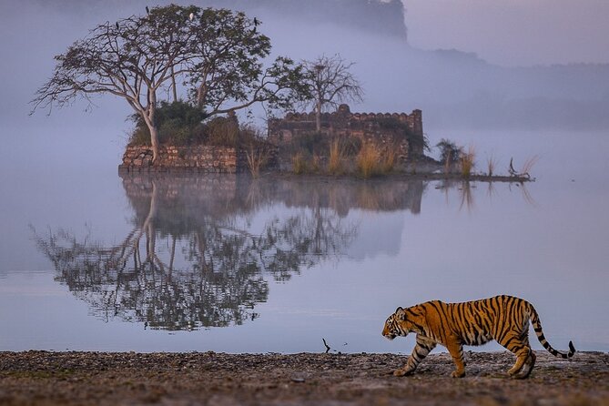 4 Days: Jaipur, Ranthambore Tigers & Taj Mahal Tour From Jaipur With Delhi Drop - Taj Mahal Visit