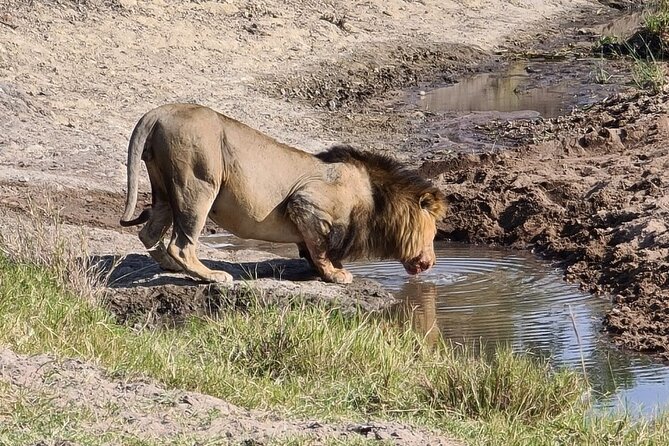 4 Days Kenyan Wildlife Safari - Inclusions and Exclusions