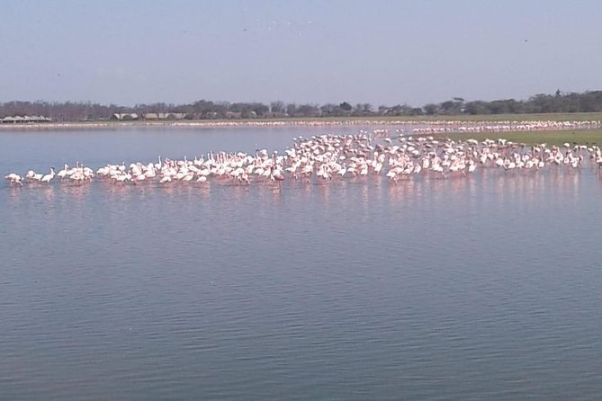 4 Days Maasai Mara and Lake Nakuru Unforgettable Safari - Accommodation Details