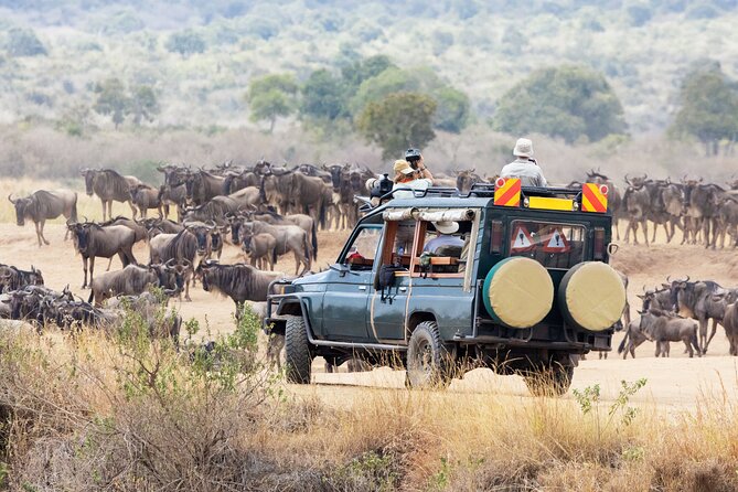 4 Days Private Lodge Safari - Meeting and Pickup Details