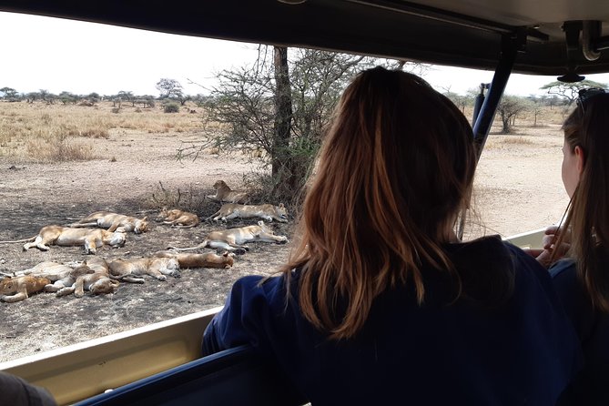 4-Days Private Midrange, Tarangire Ngorongoro, Manyara & Materuni - Accommodation Details
