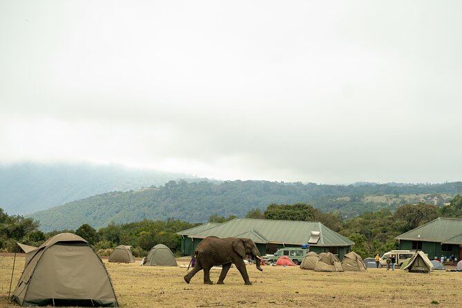 4 Days Tanzania Budget Safari - Accessibility and Accommodation