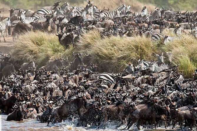 4 Days Tanzania Luxury Camping Safari - What to Bring