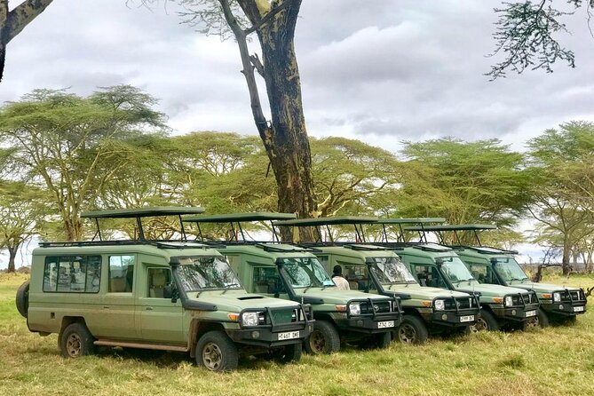 4 Days Tanzania Safari Tour - Luxury Accommodations and Dining