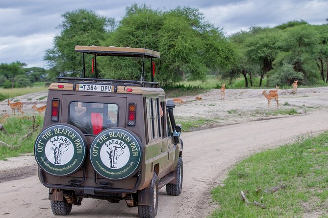 4 Days Tarangire , Ngorongoro ,Manyara and Lake Eyasi Village - Pickup and Dropoff
