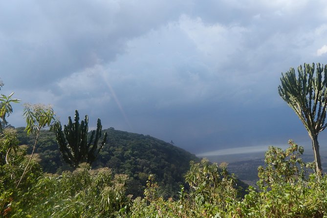 4 Days Tarangire, Serengeti & Ngorongoro - Wildlife Sightings and Encounters