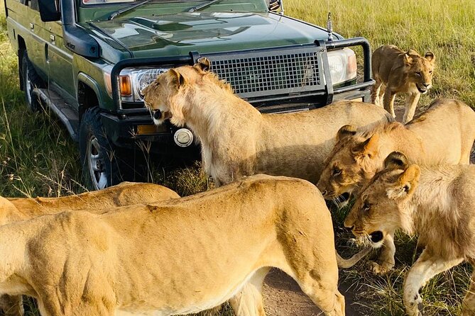 4 Days Tour Landcruiser in Masai Mara and Lake Nakuru - Meals and Refreshments