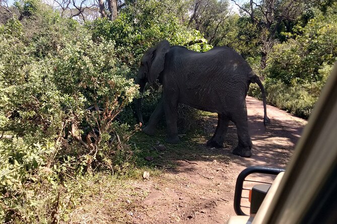 4-Days Tour to Tanzania National Parks - Itinerary