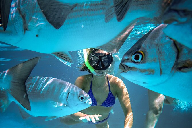 4 Hour Cozumel Reefs Snorkeling - Customer Feedback