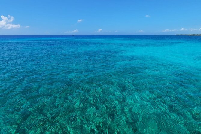 4-Hour Private 44 Leopard Luxury Catamaran Tour W/ Food, Open Bar & Snorkeling - Meeting Location