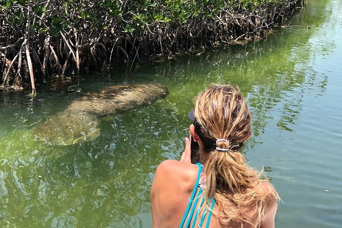 4 Hour Private Ecotour and Snorkeling Boat Tour - Customer Testimonials and Ratings