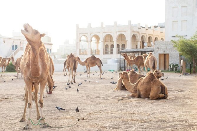 4-Hour Private Group City Tour in Doha, Qatar - Booking Information