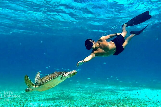 4 Hour Snorkeling Tour in Cozumel - Meeting and Transportation