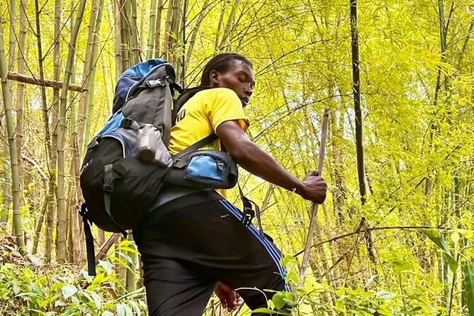 4-Hours Bike, Hike & Waterfall Tour in Blue Mountain With Lunch and Pick up - Pickup Information