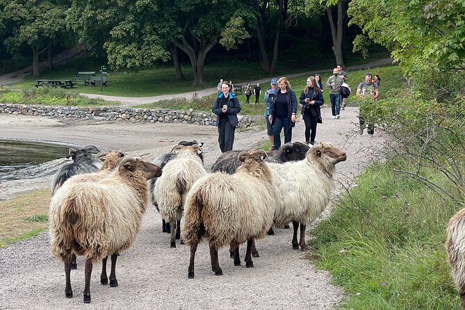 4 Hours Island Hopping Tour in Oslo - Inclusions and Amenities