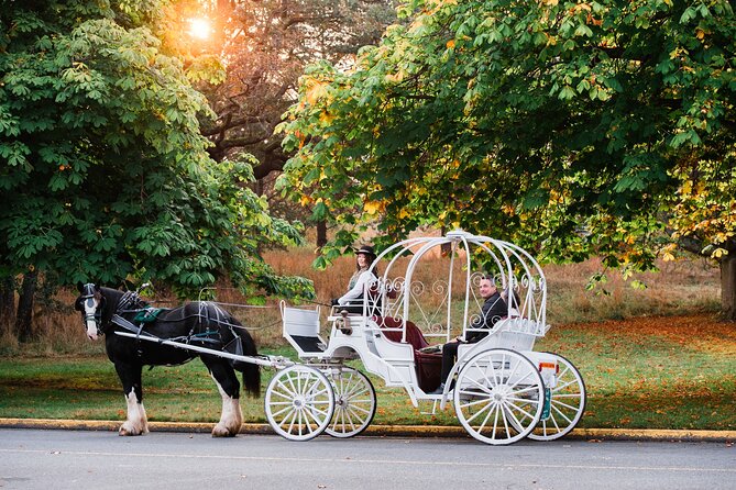 45-Minute By The Park Tour - Accessibility Options