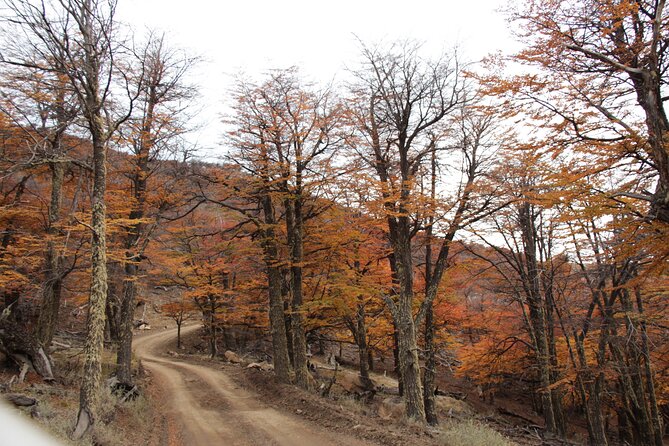 4x4 in Cerro Frías - Pickup and Meeting Points