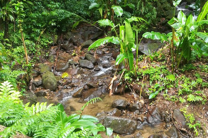 4x4 SUV Ride, Following the Trail of the Jesuits - Health and Accessibility