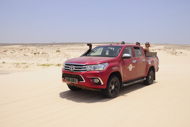 4x4 Tour - Sandboard, Shark & Green Turtles Bay, Snacks & Drinks - Guest Experiences and Feedback