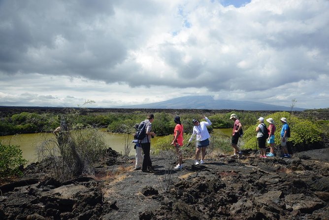 5-Day Galapagos Islands Plus Bike, Kayak, Hike, Snorkel - Accommodation Details