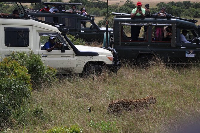 5-Day Private Tour in Kenyas Best Game Parks - Guides and Safety