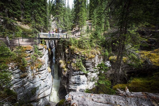5-Day Rockies Ultimate Tour Package, Banff, Jasper, and Yoho - Important Policies