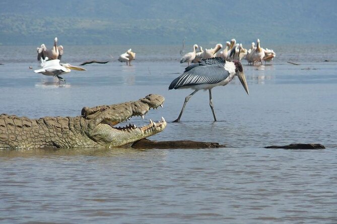 5 Day Safari in Tarangire, Serengeti and Ngorongoro Wonders - Health and Safety Considerations