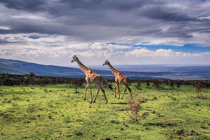 5 Day Serengeti Luxury Safari - Included Amenities