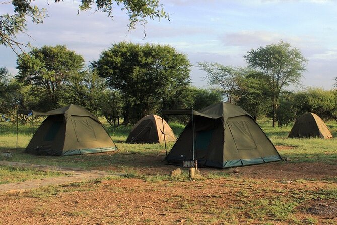 5 Day Tanzania Safari Camping Adventure Private Tour - Health and Accessibility