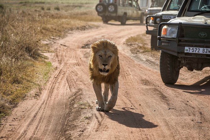 5 Day Tarangire, Serengeti, Crater & Manyara - Mid Range Private - Camping at Safari Lodge