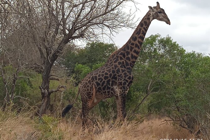 5 Day Ultimate Kruger National Park Budget Accommodation - Accessibility Features